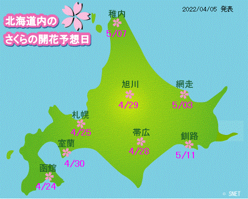 桜 満開 予想